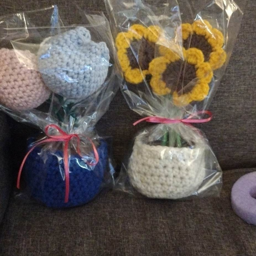 Crochet Flower Pots